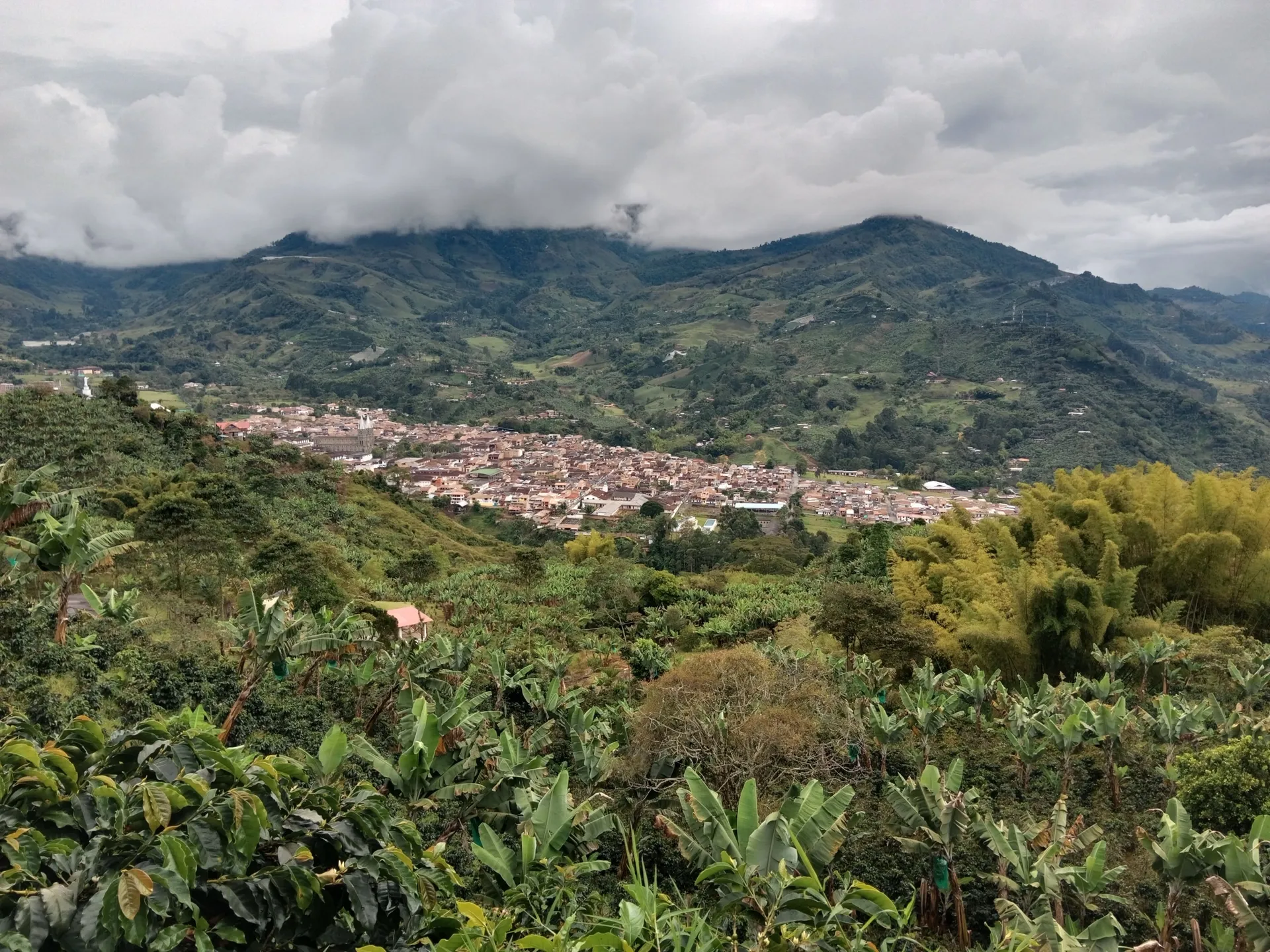 A mountain town ringed by coffee farms in the Colombian Andes
