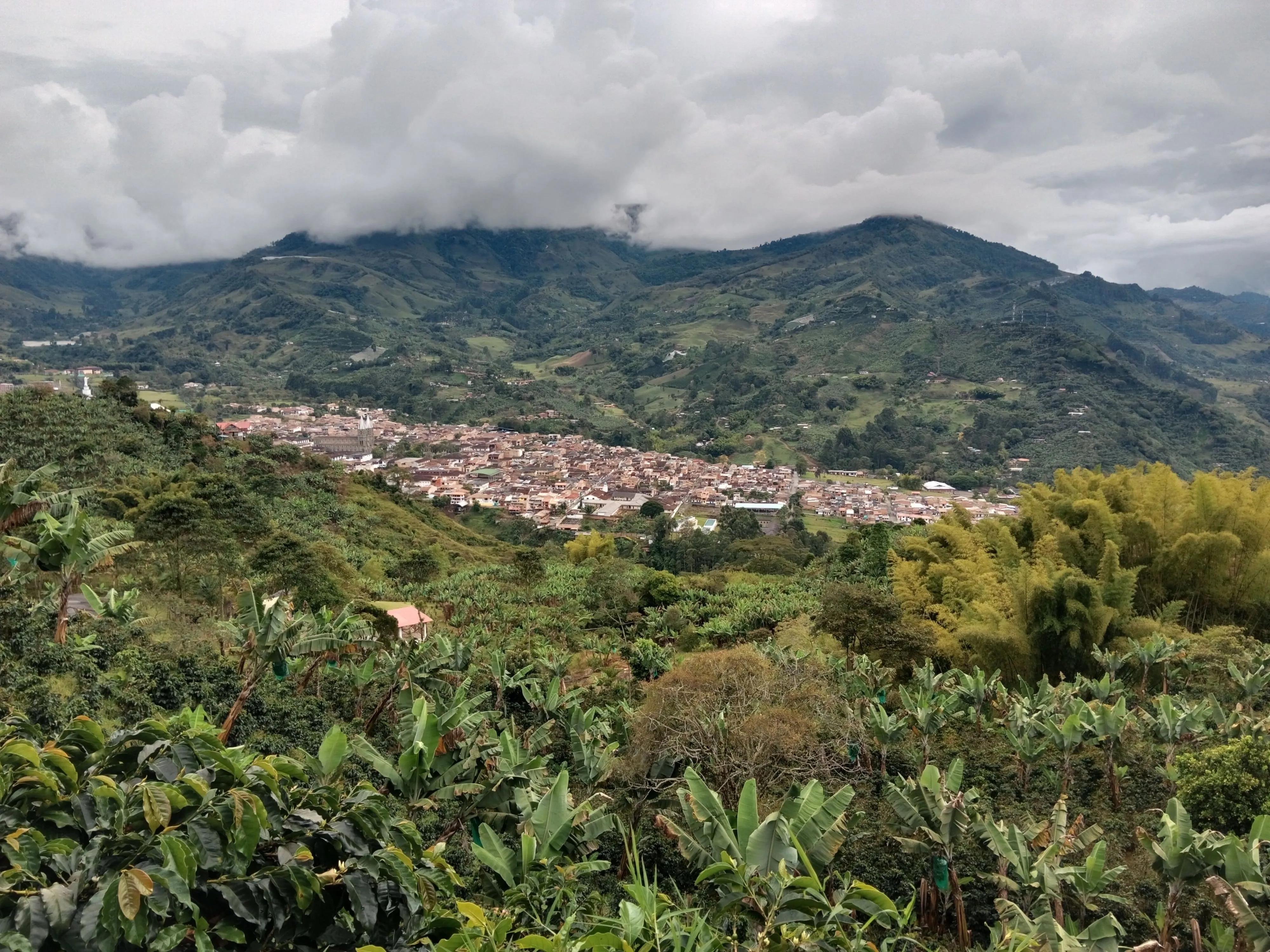 A mountain town ringed by coffee farms in the Colombian Andes