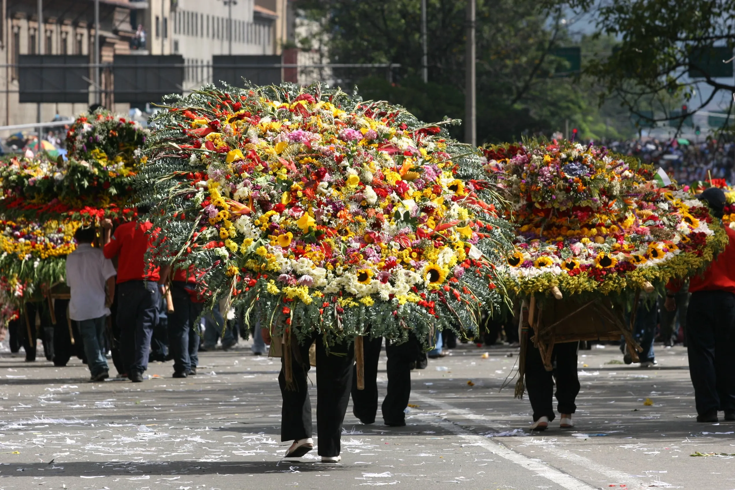 Silleteros carrying huge wooden frames stacked with flowers on their backs during a parade