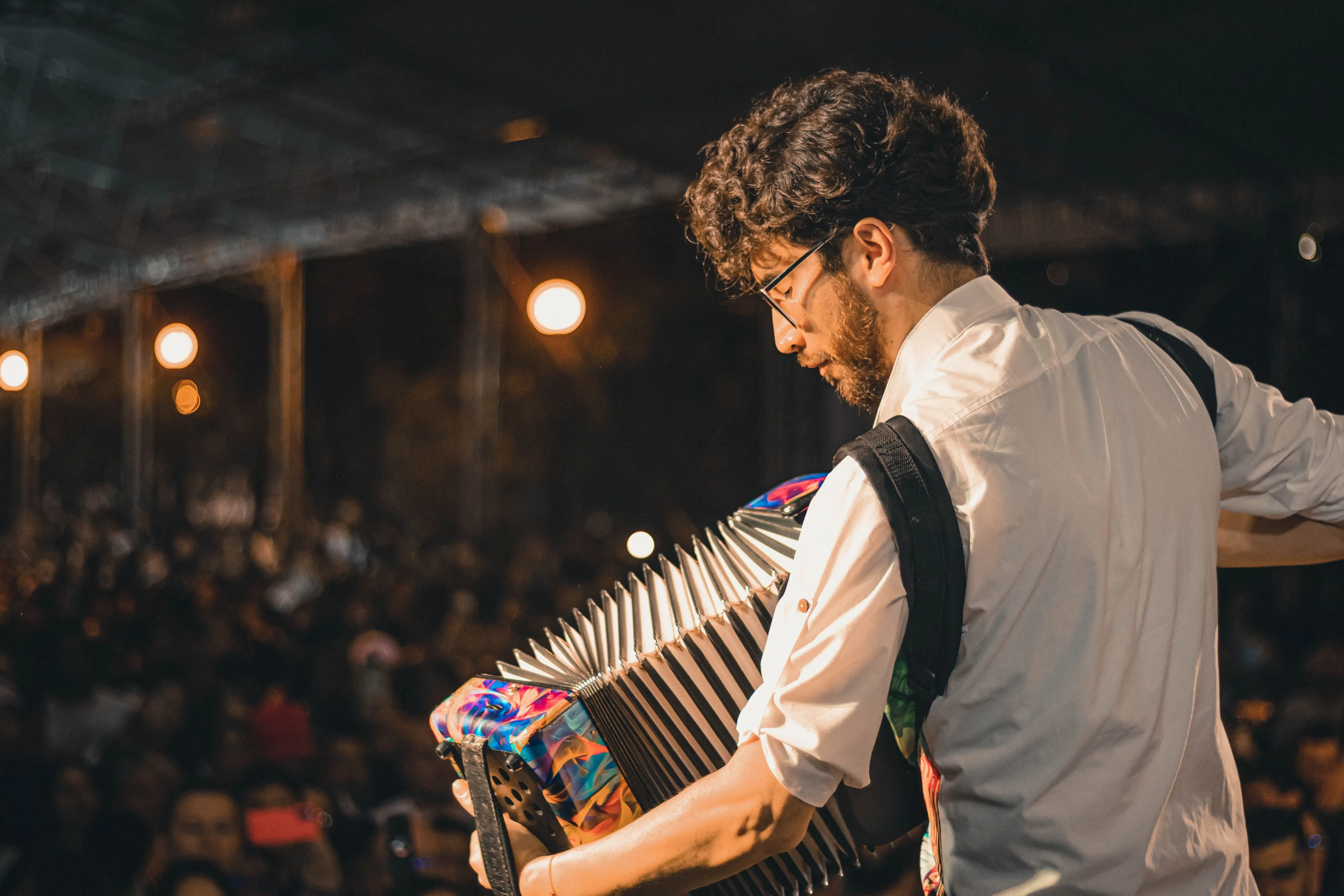 An accordionist playing to a crowd at a night-time concert