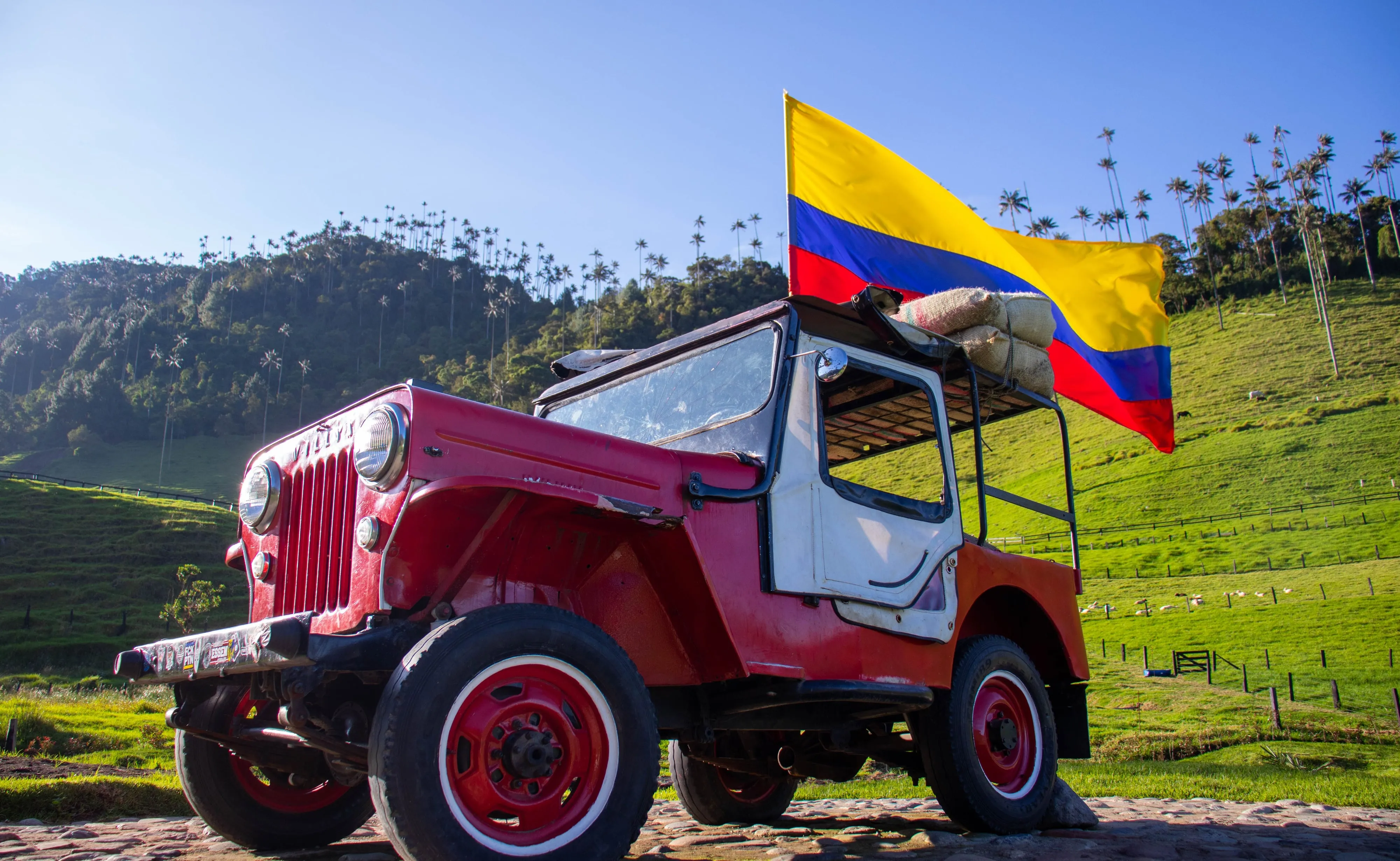 A red Willys jeep flying the Colombian flag beneath the wax palms of the Cocora Valley